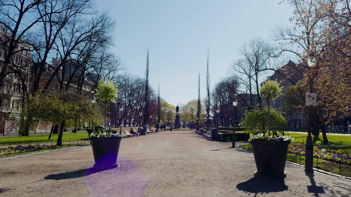 並木と花のプランターが続く、広い公園の遊歩道